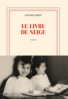 Le livre de neige (2022)